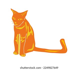 Orange colour cat sitting isolated