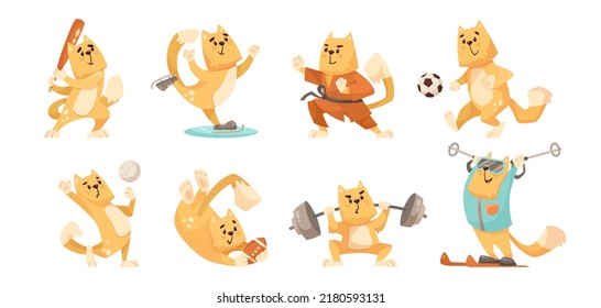 Orange comic cat doing different sports vector illustrations set. Cute cat cartoon character ice skating, doing karate, exercising, playing volleyball on white background. Sports, animals concept