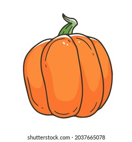 Orange common pumpkin in simple cartoon doodle style. Vector illustration.