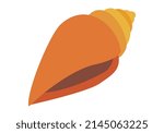 Orange conch shell on a white background.