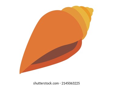 Orange conch shell on a white background.