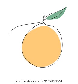 Orange. Continuous one line drawing.