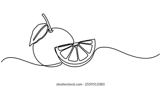 Orange continuous one line drawing, fruit vector illustration, Orange Continuous Line drawing illustration. Linear Simple juicy tropical fruit isolated on white. Minimalistic modern style. Fresh. 