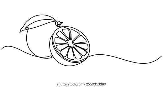 Orange continuous one line drawing, fruit vector illustration, Orange Continuous Line drawing illustration. Linear Simple juicy tropical fruit isolated on white. Minimalistic modern style. Fresh. 