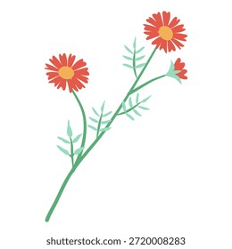 Ilustración de icono de Vector de flores de cosmos naranja