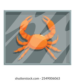 Orange crab is showcased inside a glass display case, its vibrant color contrasting with the gray background