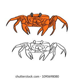 orange crab vector illustration sketch doodle hand drawn with black lines isolated on white background