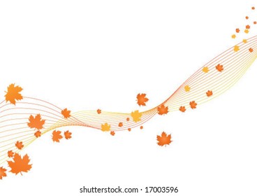 orange curl (Autumn floral background)