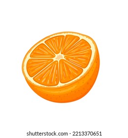 orange cut cartoon. fruit citrus, half juicy, slice juice, fresh sweet, organic ripe, piece healthy, vitamin tropical orange cut vector illustration