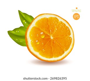 Orange cut in half. Citrus isolated on white background beautiful fresh fruit. Vector realistic art illustration for advertising packaging carton bottle banner wallpaper. Color yellow green. Colorful