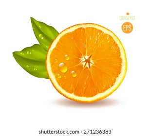 Orange cut in half. Citrus isolated on white background beautiful fresh fruit. Vector realistic art illustration for advertising packaging carton bottle banner wallpaper. 