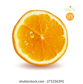 Orange cut in half. Citrus isolated on white background beautiful fresh fruit. Vector realistic art illustration for advertising packaging carton bottle banner wallpaper website. 
