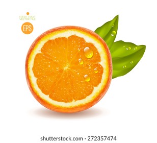 Orange cut in half. Citrus isolated on white background beautiful fresh fruit. Vector realistic art illustration for advertising packaging carton bottle banner wallpaper. Color yellow green. Colorful