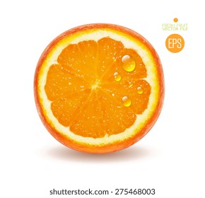 Orange cut in half. Citrus isolated on white background beautiful fresh fruit. Vector realistic art illustration for advertising packaging carton bottle banner wallpaper website. Color yellow colorful