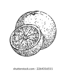 orangefarbener Schnitt, handgezeichnet, Vektorgrafik. ObstZitrusfrüchte, Halbsaft, Slice Saft, frisch süß, biologisch reif, Stück gesund, Vitamin tropische Orangenschnitt Skizze. einzelne schwarze Illustration