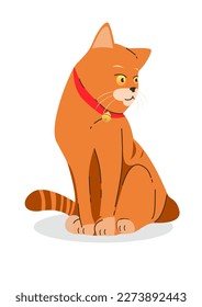 Orange cute cat animal flat illustration design