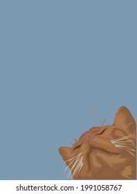 orangefarbene, süße Katze, die unter der hellbraunen Katzengrafik schaut Vektorgrafik 