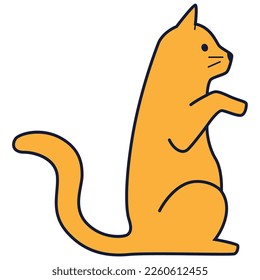 orange cute cat on hind legs