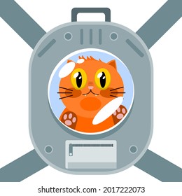 Orange cute cat in pet carrier box backpack with window for transport or travel flat vector.