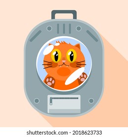 Orange cute cat in pet carrier box backpack with window for transport or travel flat vector.