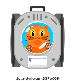 Orange cute cat in pet carrier box backpack with window for transport or travel flat vector design.