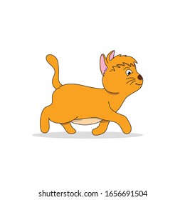 orange cute cat walking happily