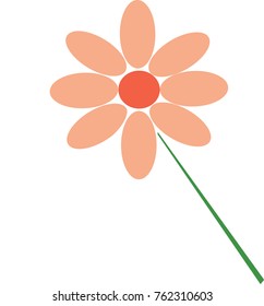 orange cute flower 