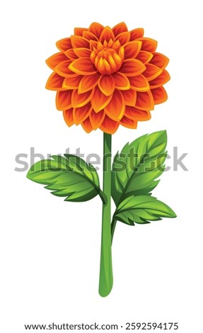 Orange dahlia flower with leaves. Vector cartoon illustration