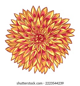 Orange Dahlia Flower Line Art Color Isolated On White Background In Vector Illustration