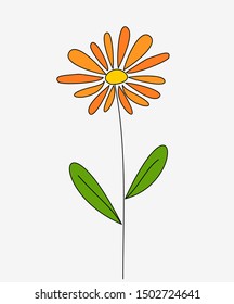 Orange daisy flower, doodle style. Vector illustration.