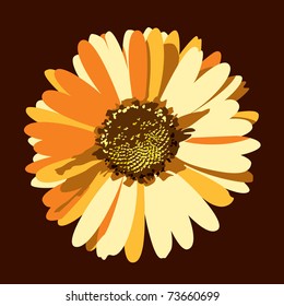 Orange Daisy Flower. Vector eps10.