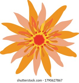 Orange Daisy Vector Illustration Flower 