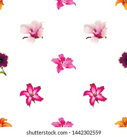Orange Daylily. Pink Bauhinia Purpurea. Violet Petunia. Pink Magnolia. Pink Adenium. Vector illustration. 
