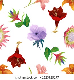 Orange Daylily. Pink Protea. Pink Amaryllis. Green bird of paradise. Purple Amaryllis. Violet Anemone. Vector illustration. Seamless background pattern. Floral botanical flower. Wild leaf wildflower.