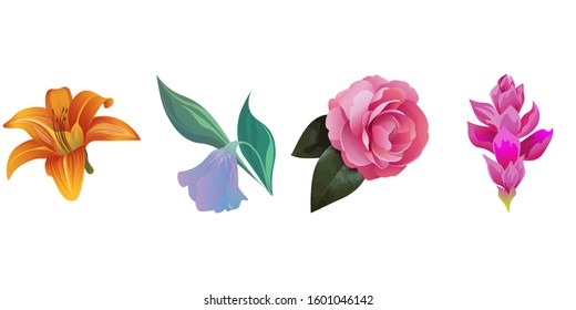 Orange Daylily. Purple Bllflower. Pink Balsam. Pink Ginger. Vector illustration. Isolated illustration element. Floral botanical flower. Wild leaf wildflower isolated. Exotic tropical hawaiian.