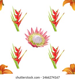 Orange Daylily. Red Heliconia Bihai. Pink Protea. Vector illustration. Seamless background pattern. Floral botanical flower. Wild leaf wildflower isolated. Exotic tropical hawaiian jungle. Fabric.