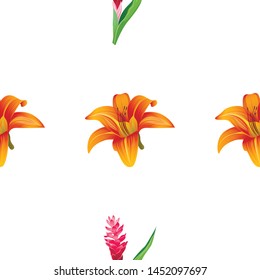 Orange Daylily. Red and Pink Ginger. Vector illustration. 