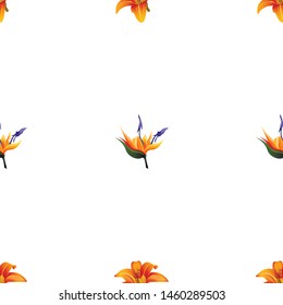 Orange Daylily. Orange Strelitzia. Vector illustration.  Floral botanical flower. Wild leaf wildflower isolated. Exotic tropical hawaiian jungle. Seamless background pattern. Fabric wallpaper print .