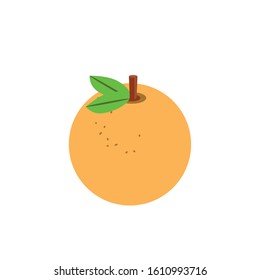 orange design, Fruit healthy organic food sweet and nature theme Vector illustration