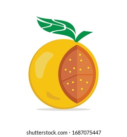 vector de diseño anaranjado - comida - fruta