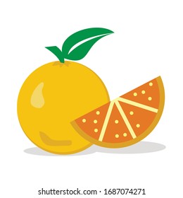 orangefarbene Vektorillustration - Obst