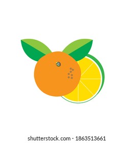 orange design vector icon logo templat