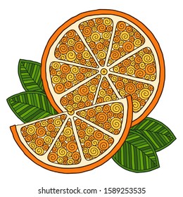 Orange. Doodle detailed illustration. Isolated. For greeting cards, printing on t-shirts.