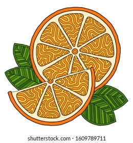 Orange. Doodle detailed illustration. Isolated. For greeting cards, printing on t-shirts.