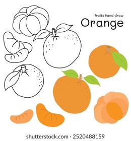 Naranja doodle dibujado a mano contorno y colores para niños, paquete, etiquetas elemento de diseño. Ilustración vectorial