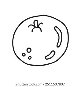 Orange im Doodle-Stil, Vektorgrafik