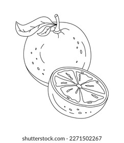 Orange Doodle Vector Illustration coloring book for Kids