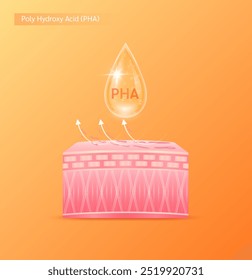 Orange drop serum on the skin layer. PHA Poly Hydroxy Acid solution the small size of molecules it exfoliates the skin surface and dead cells. For cosmetics ads. Medical beauty science. Vector EPS10.