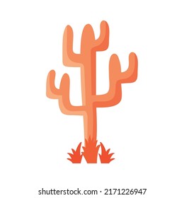 orange dry cactu desert plant