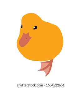 Orange duckling on a white background
